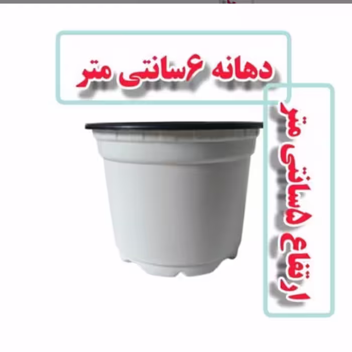 گلدان ژله ای سایز 6 سفید پک 20 عددی