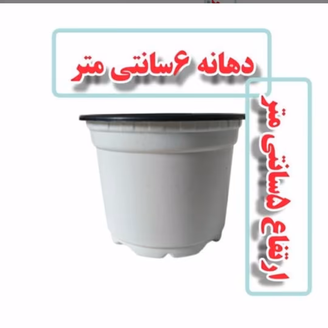 گلدان ژله ای سایز 6 سفید پک 20 عددی