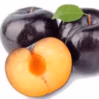 اسانس مایع آلوسیاه درجه یک در بسته بندی 500 گرمی 