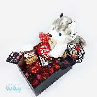 پکیج کادویی ولنتاین با عروسک سگ هاسکی ارتفاع 20 سانتی متر