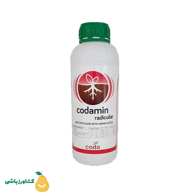 کود کدامین رادیکولار ریشه زا