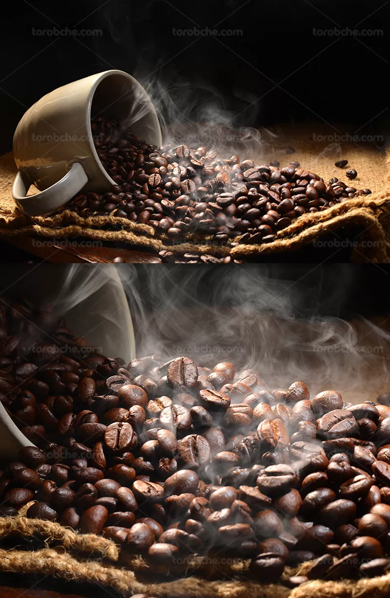 عکس دانه قهوه با کیفیت | گرافیک با طعم تربچه