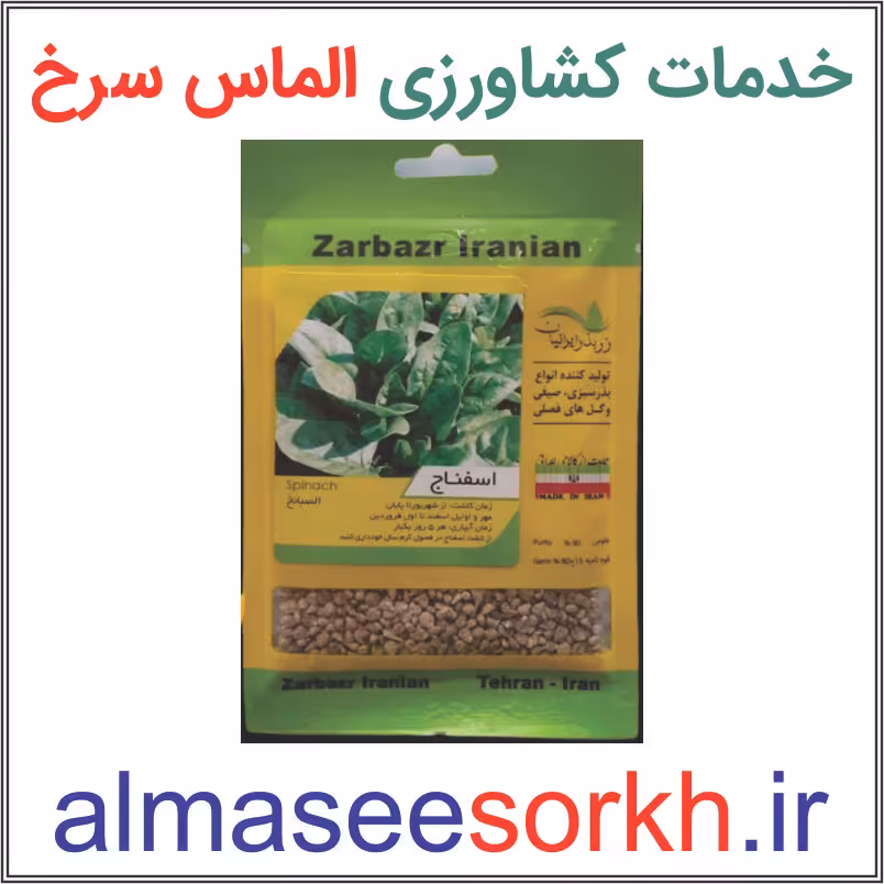 بذر اسفناج شاهرودی ممتاز زر بذر ایرانیان | گیاه پزشکی الماس سرخ