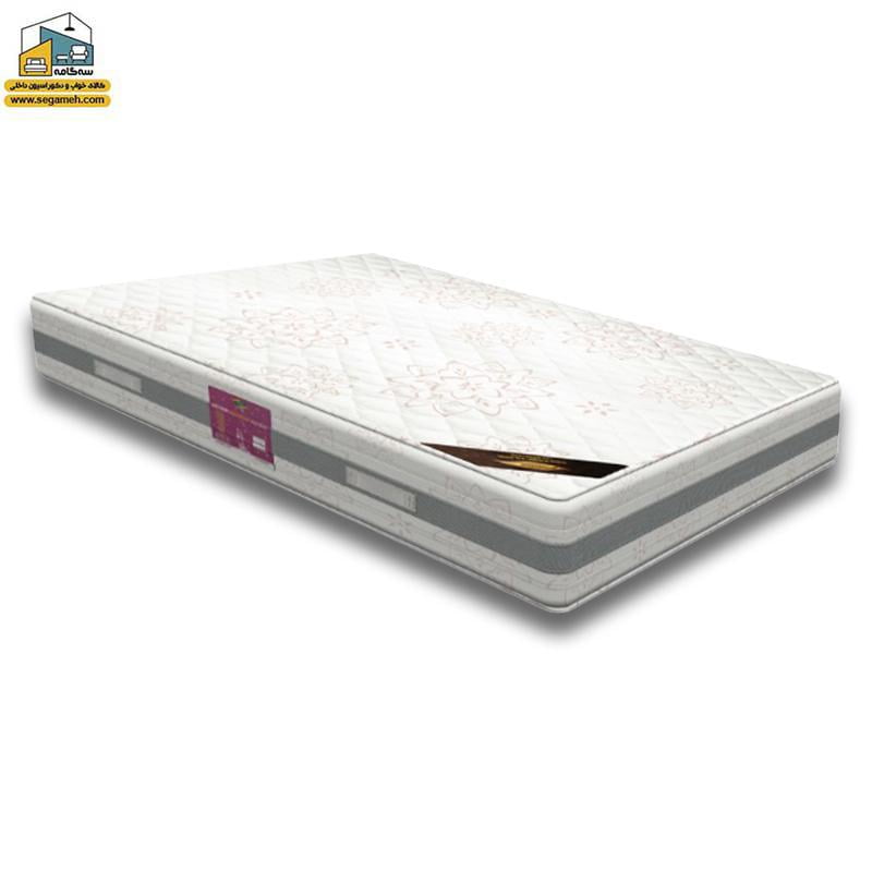 تشک ویستر مدل ویسکو ویستر سایز 100*200