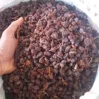 مویز گوشتی درشت آفتابی دیمی با دم