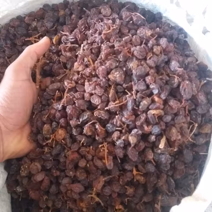 مویز گوشتی درشت آفتابی دیمی با دم