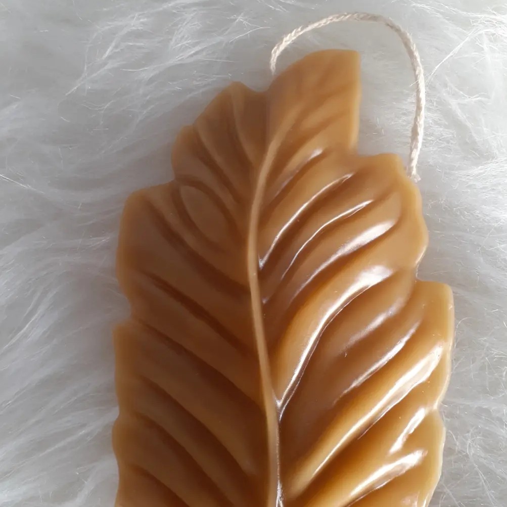 شمع برگ بزرگ