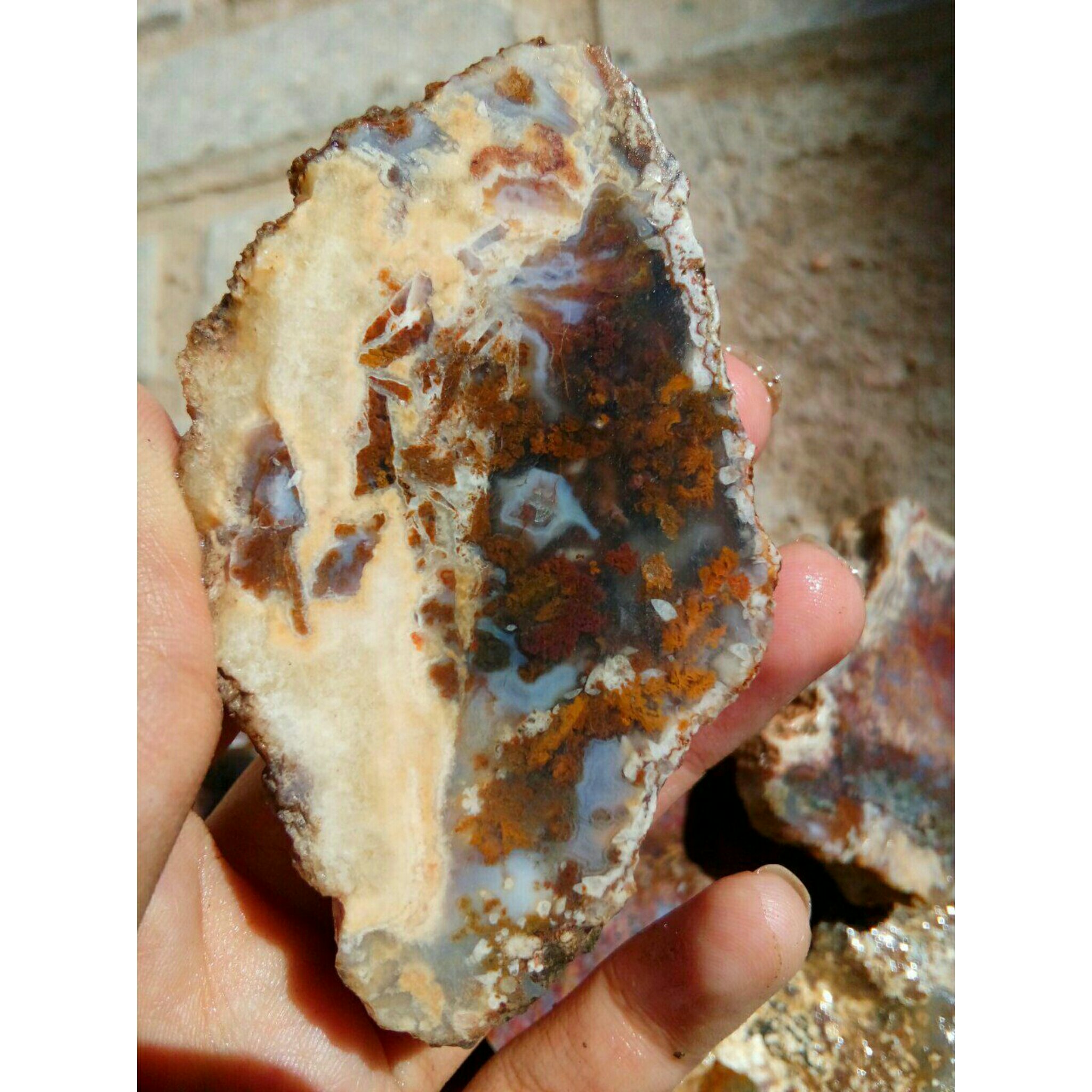 راف شجر هفت رنگ خاص مختص تراش نگین و راف و کلکسیون