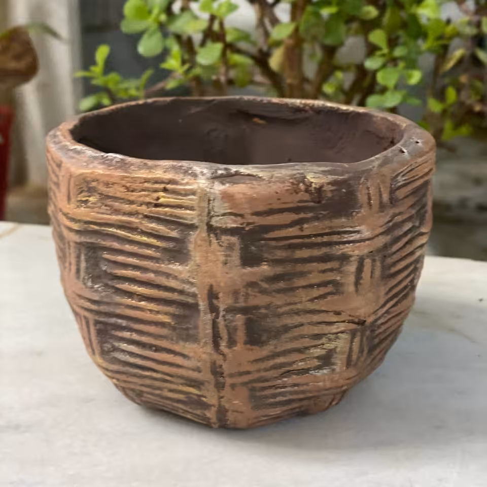 جا سبزه ی سبدی