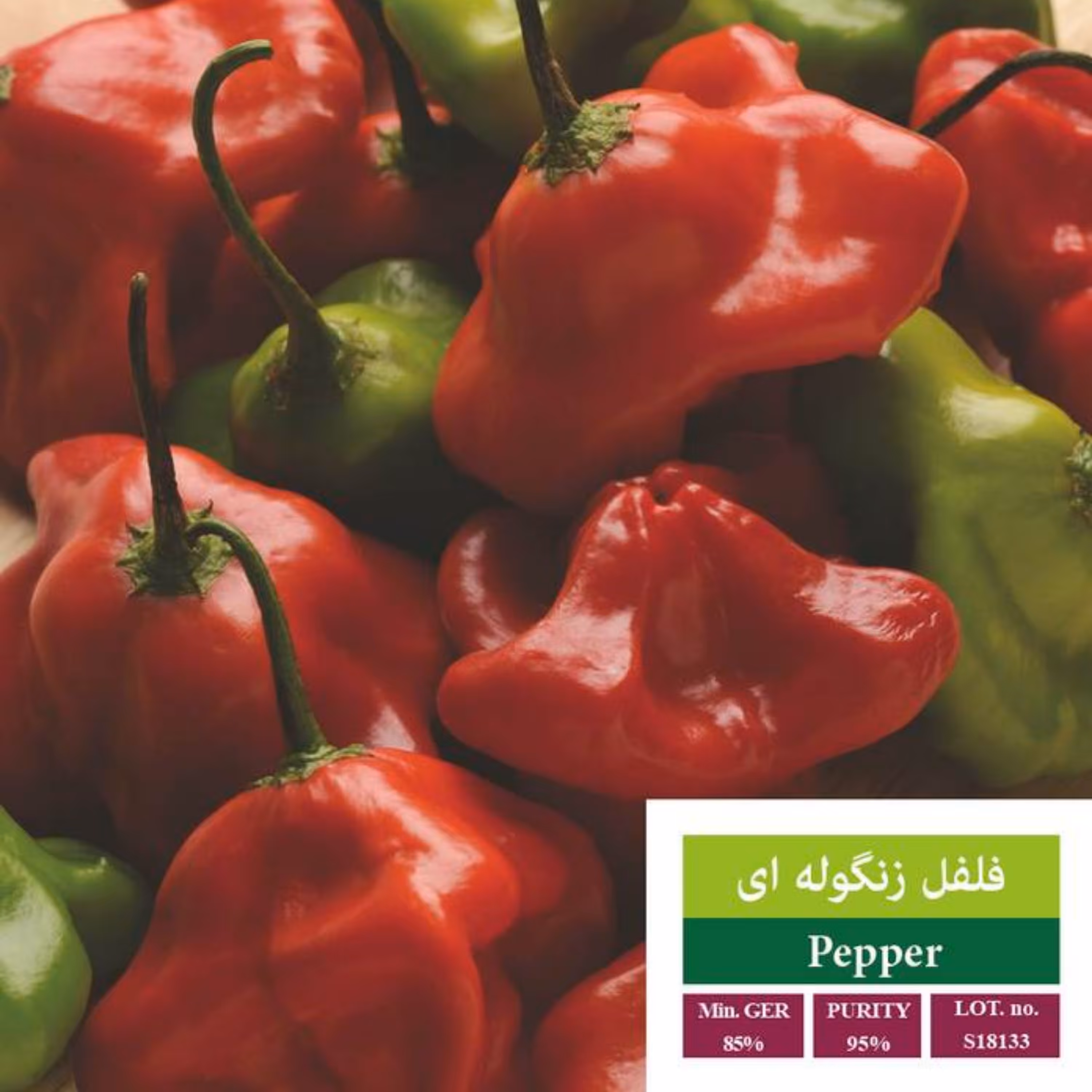 بذر فلفل زنگوله ای بذر طلایی رویان 