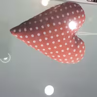 ترازو وزن کشی 