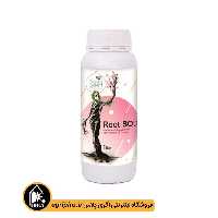 کود روت اس اُ دی