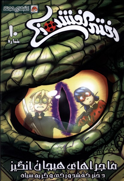 کتاب دختر کفشدوزکی 10 اثر گابریله الهاگ