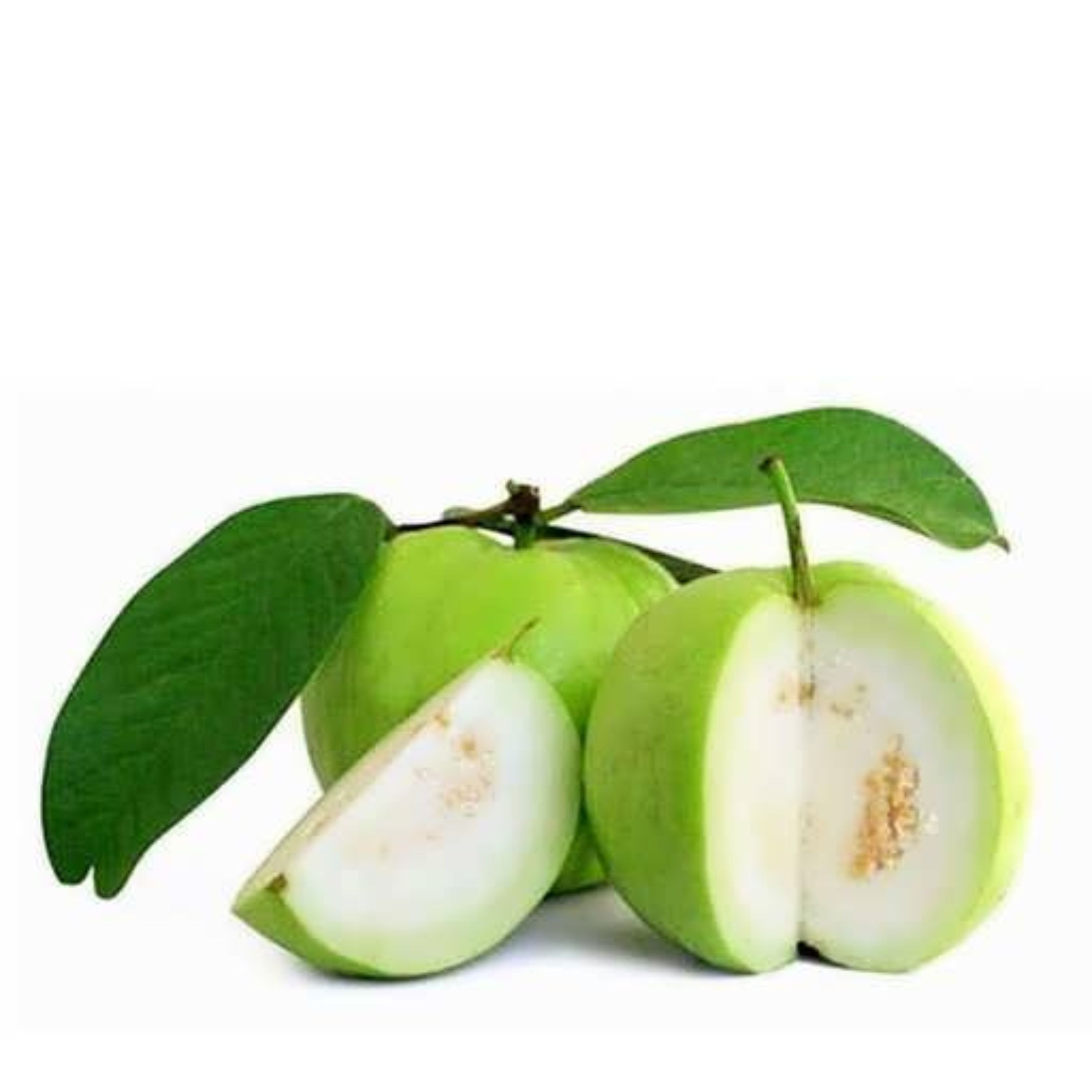 بذر گواوا سیبی زرد معطر داخل سفید 10 عددی