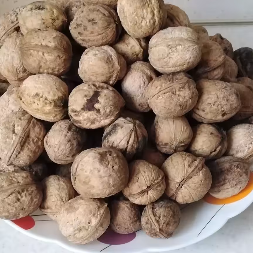 گردوی کاملا ارگانیک و دستچین