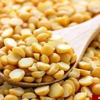 لپه ممتاز ممتاز فدک (1600گرم)