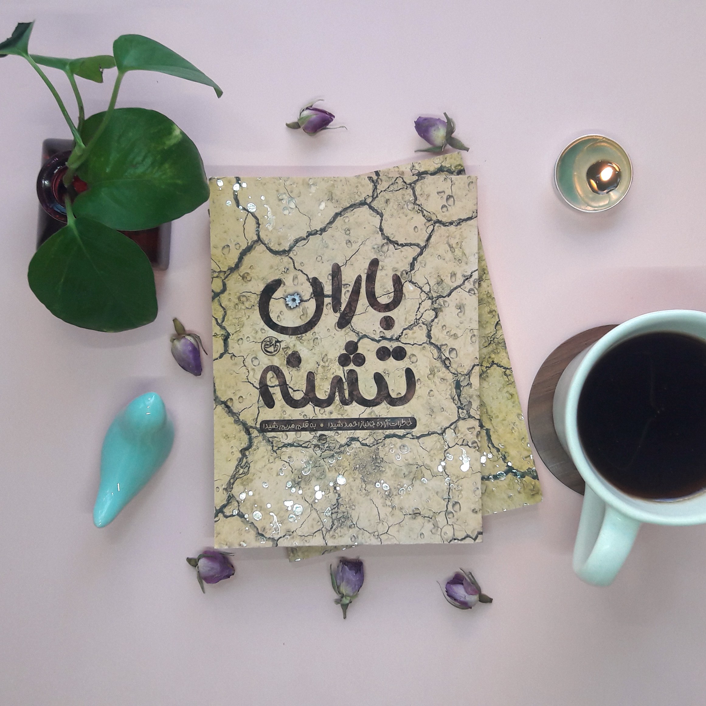 کتاب باران تشنه(روایت فتح)