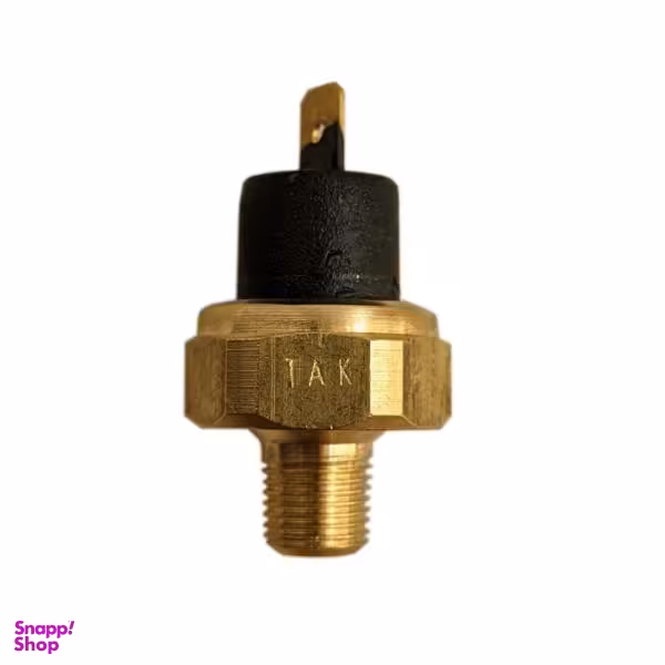 فشنگی روغن خودرو تک لایت مدل Am مناسب برای نیسان