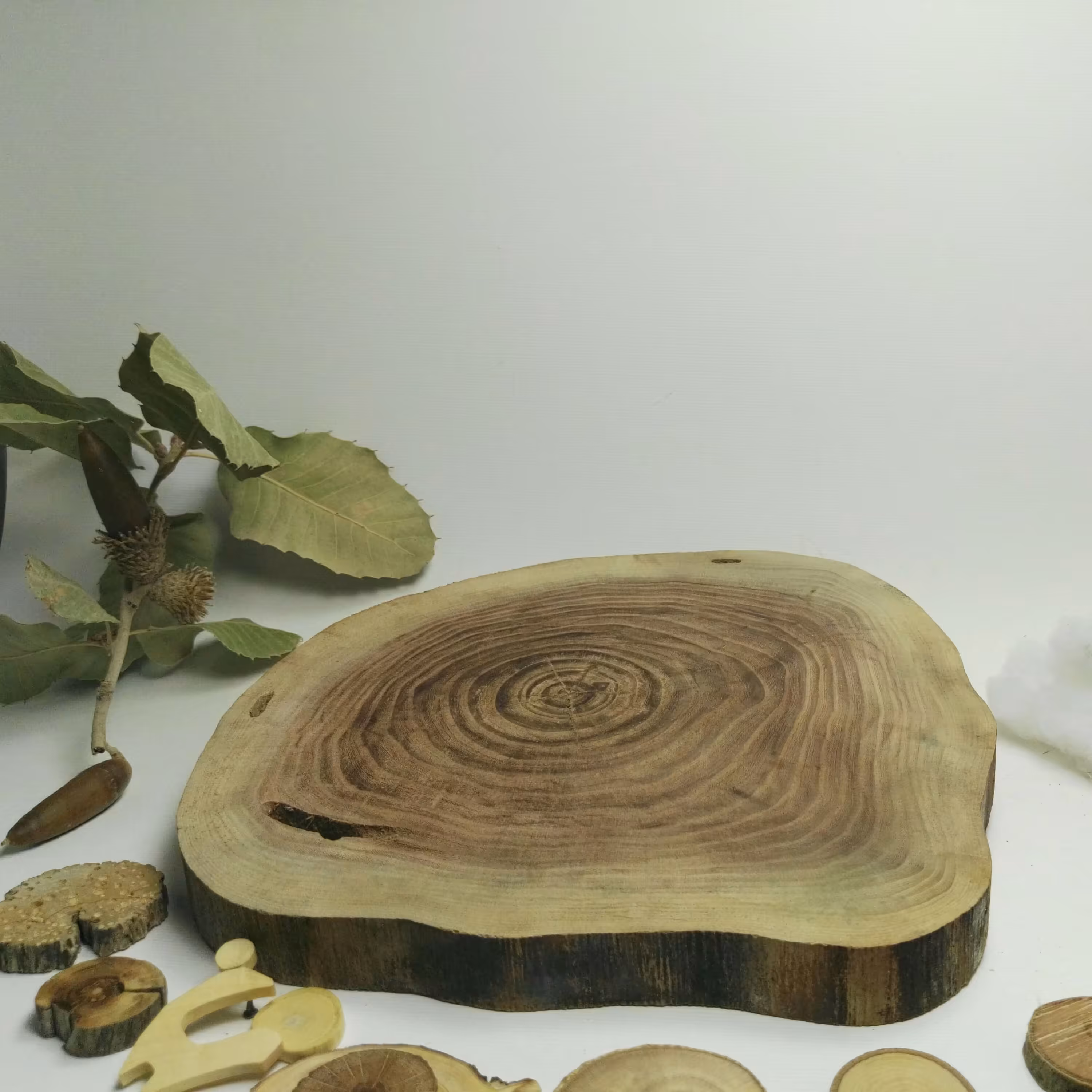 تنه درخت ، اسلایس چوب   ، استند و  چوب کالباسی دفرمه  درخت نارون  قطر 23 سانت ، ضخامت 2سانت 