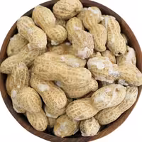 بادام زمینی با پوست خام1000کرمی)عطار کده