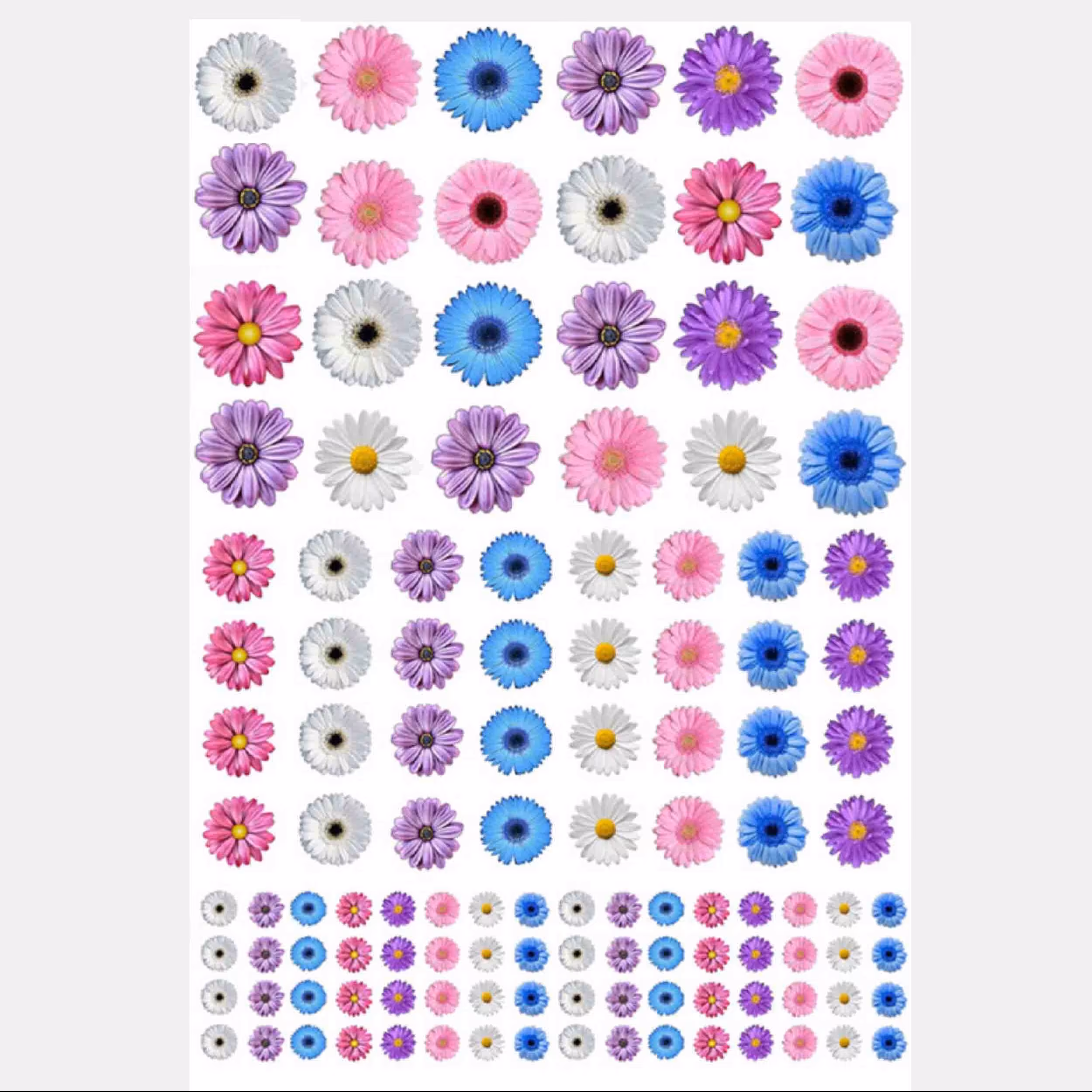 طلق ترنسپرنت  یا رزین اپوکسی مدل گل  ابی ابعاد 20 در 30 سانتی متر