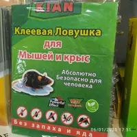 تله کتابی  موش  خانگی (چسب موش کتابی) کیان