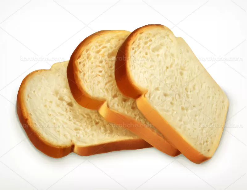 وکتور نان تست | گرافیک با طعم تربچه