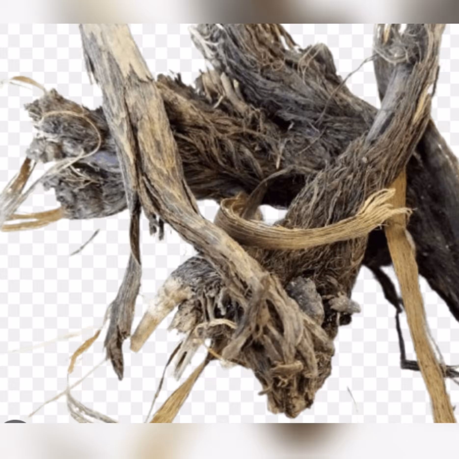 ریشه بابا آدم 200گرم پایین اورنده قند خون،چربی خون  ، رماتیسم ،نفخ 