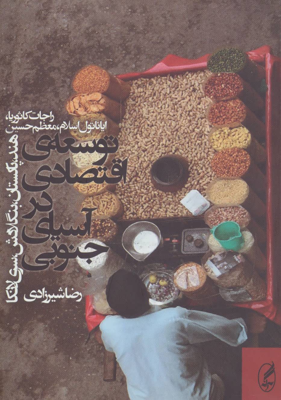 کتاب توسعه اقتصادی در آسیای جنوبی