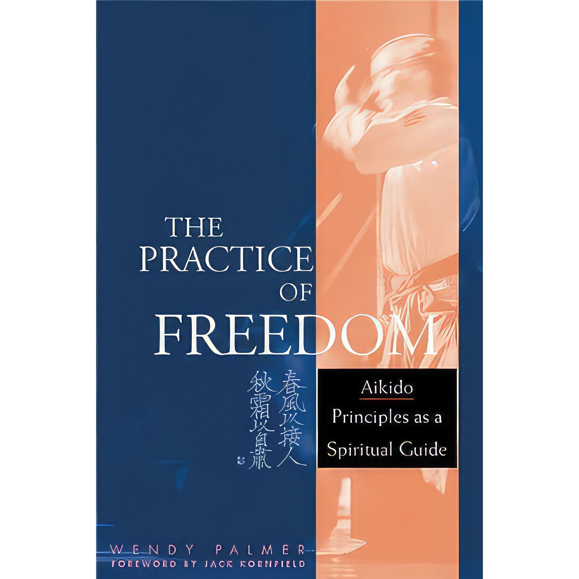 کتاب زبان اصلی The Practice of Freedom اثر Wendy Palmer and Jack Kornfield