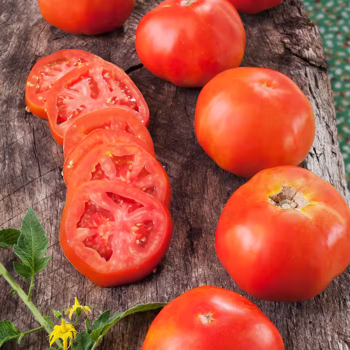 بذر گوجه فرنگی راتگرز 10عددی