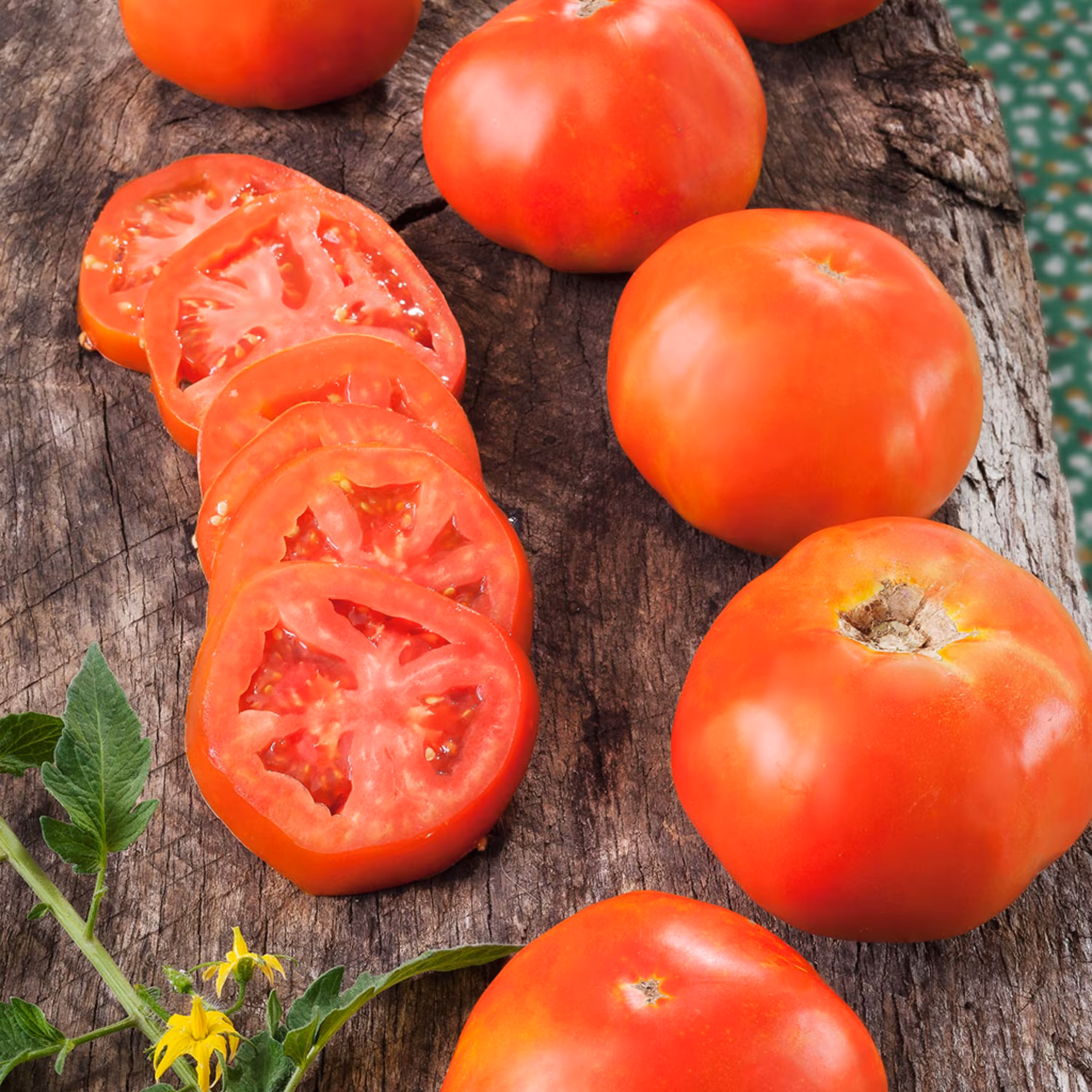 بذر گوجه فرنگی راتگرز 10عددی