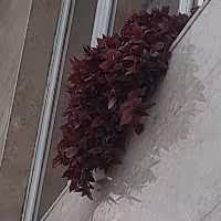 اموزش زبان انگلیسی با جدیدترین روش در شهرستان ساری