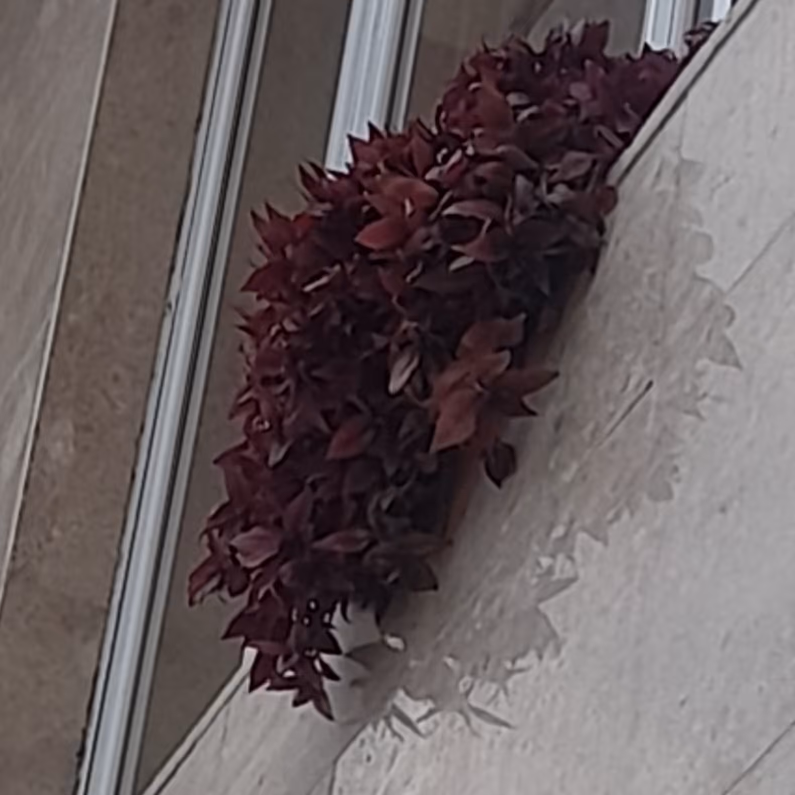 اموزش زبان انگلیسی با جدیدترین روش در شهرستان ساری