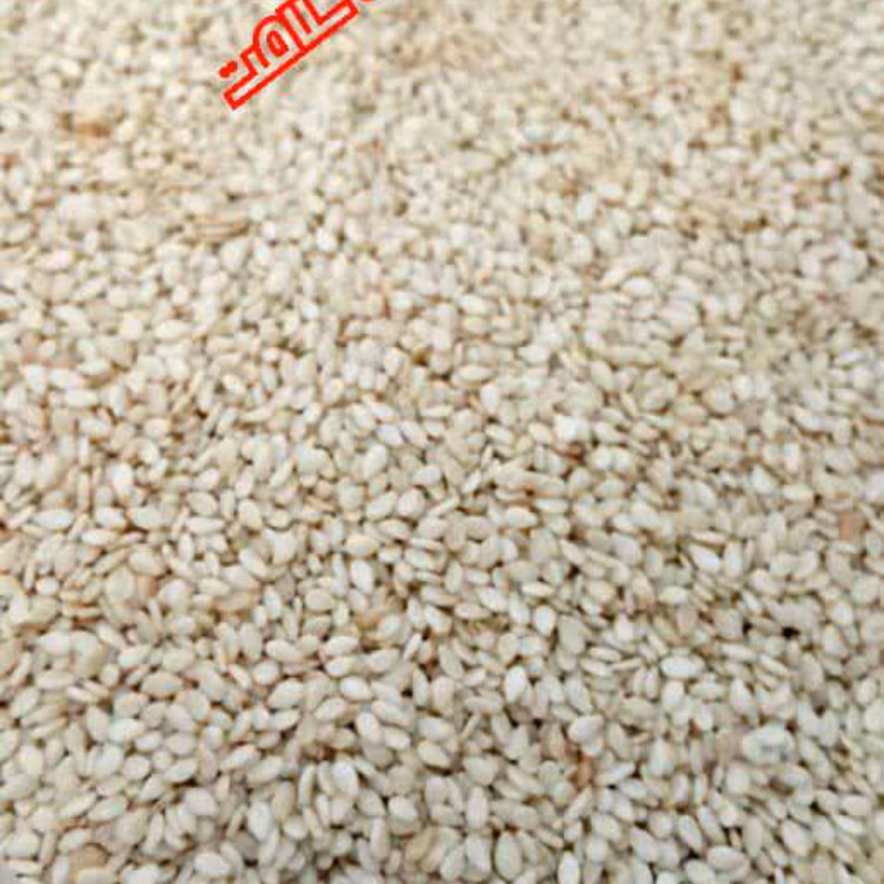 کنجد سفید(درجه یک) 100 گرم