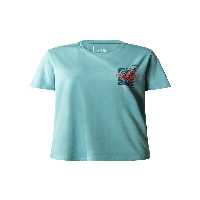 تی شرت سبز زنانه سه راهی گرافیکی پایه NF0A55B2 The North Face