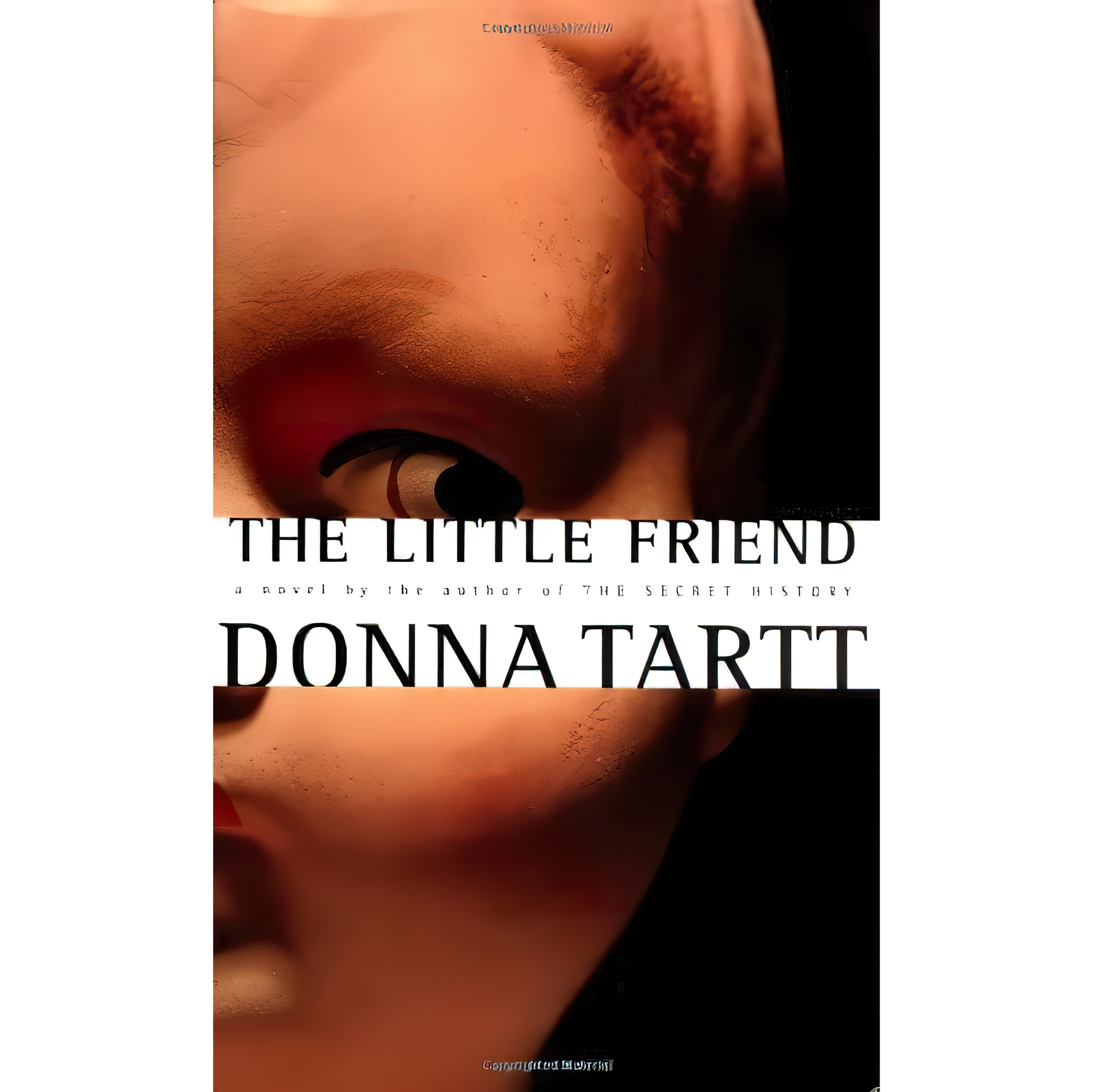 کتاب زبان اصلی The Little Friend اثر Donna Tartt انتشارات Knopf