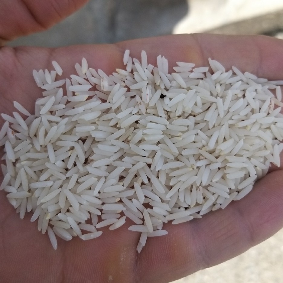 برنج دم سیاه لرستان  25کیلویی