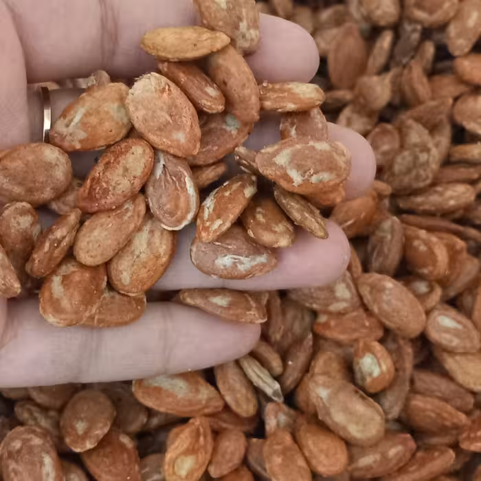 تخمه ژاپنی اعلا وزن یک کیلویی (1000 گرمی) ارسال فوری