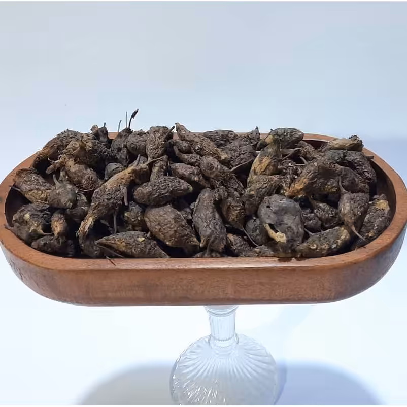 سعد کوفی 100 گرمی ،سعد،مشک زمین ،تپلاق،