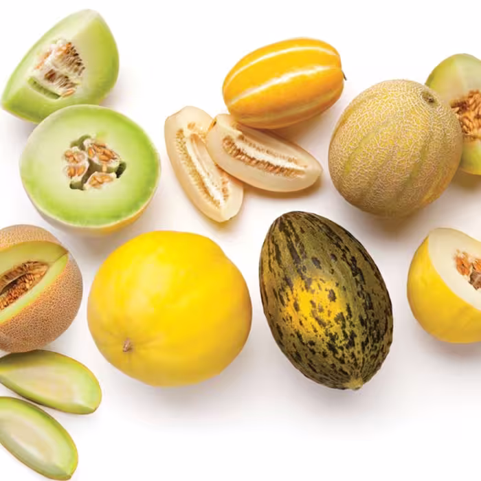 بذر طالبی میکس 20 عددی 