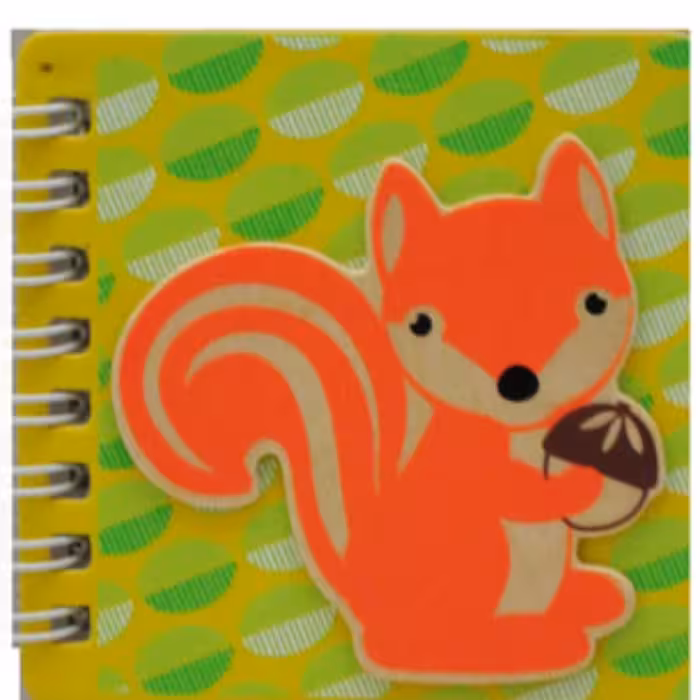 دفترچه سیمی کوچک پیکاردوDF-063