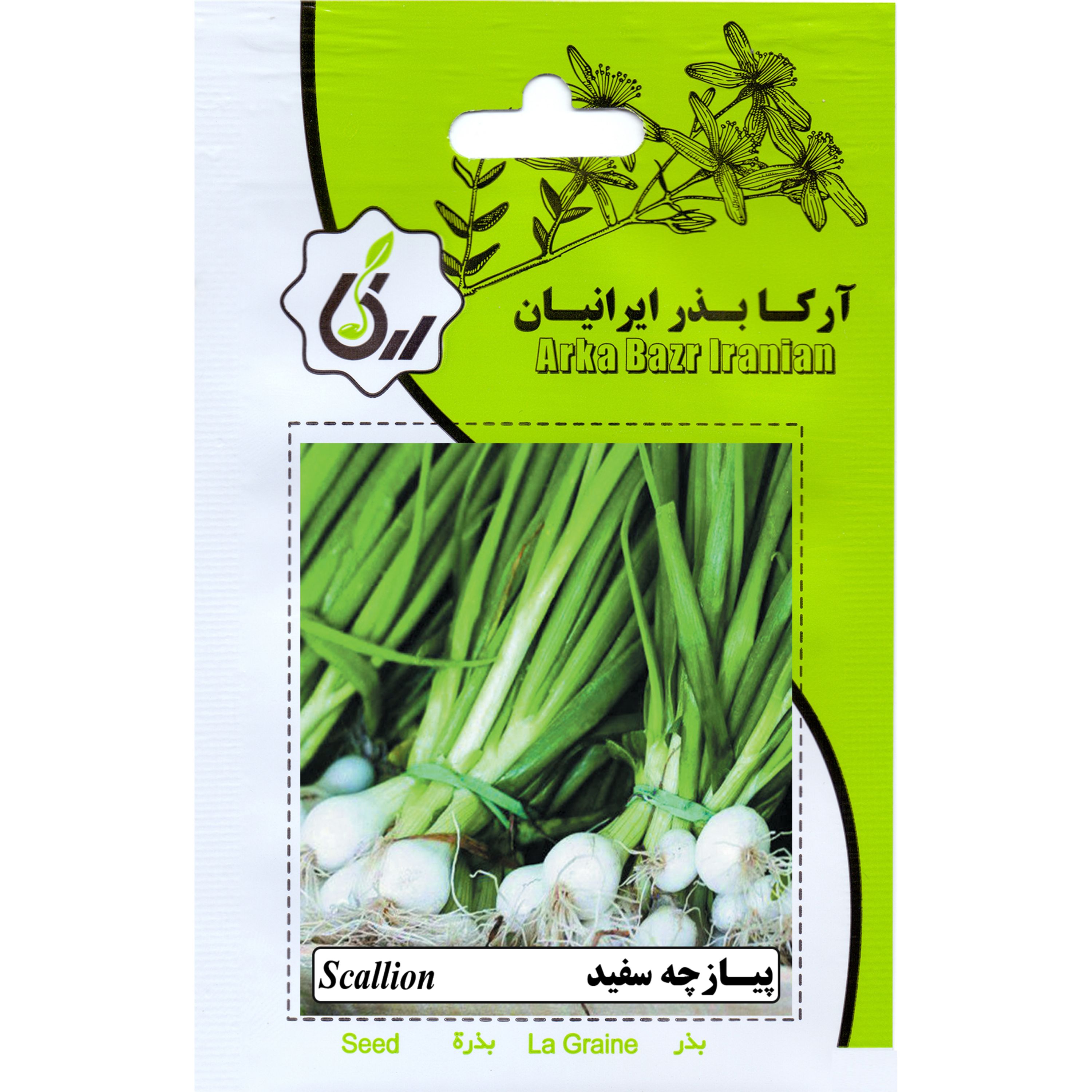 پیازچه سفید ارکا بذر ایرانیان