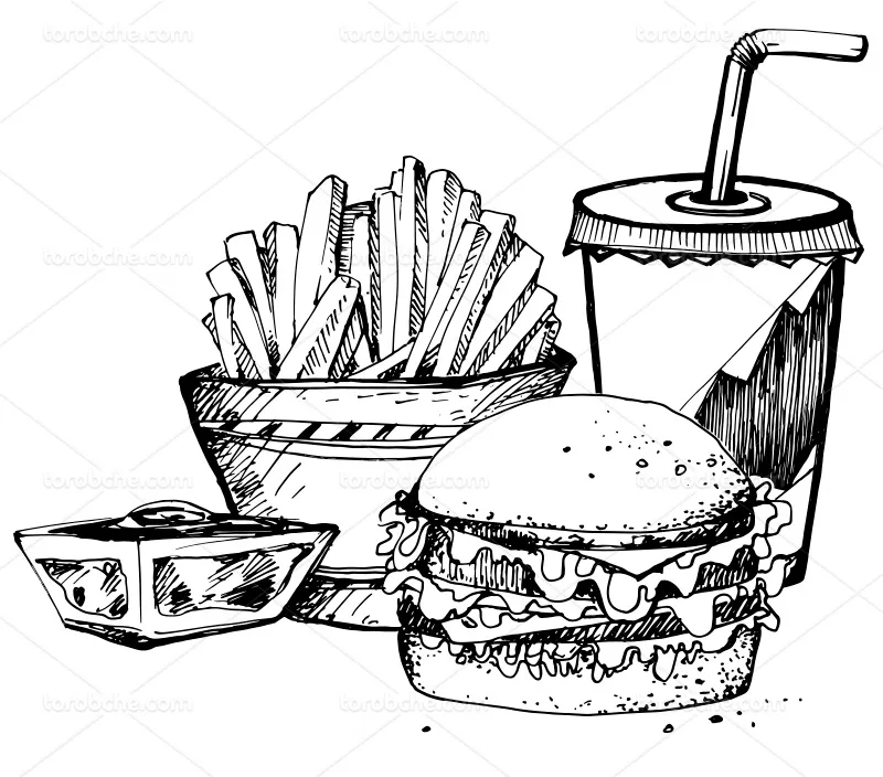 وکتور فست فود و نوشیدنی | گرافیک با طعم تربچه