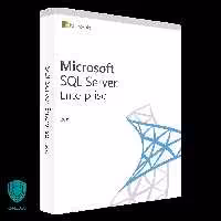 Microsoft SQL Server 2019 Enterprise