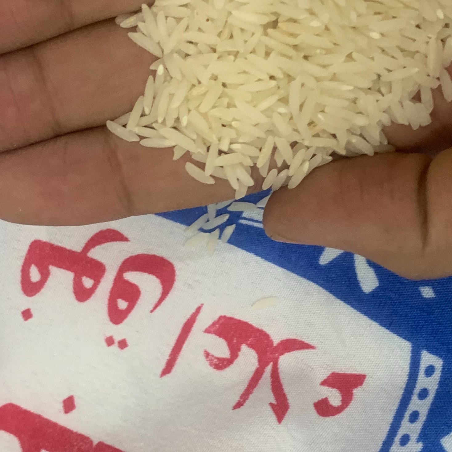 برنج هاشمی 