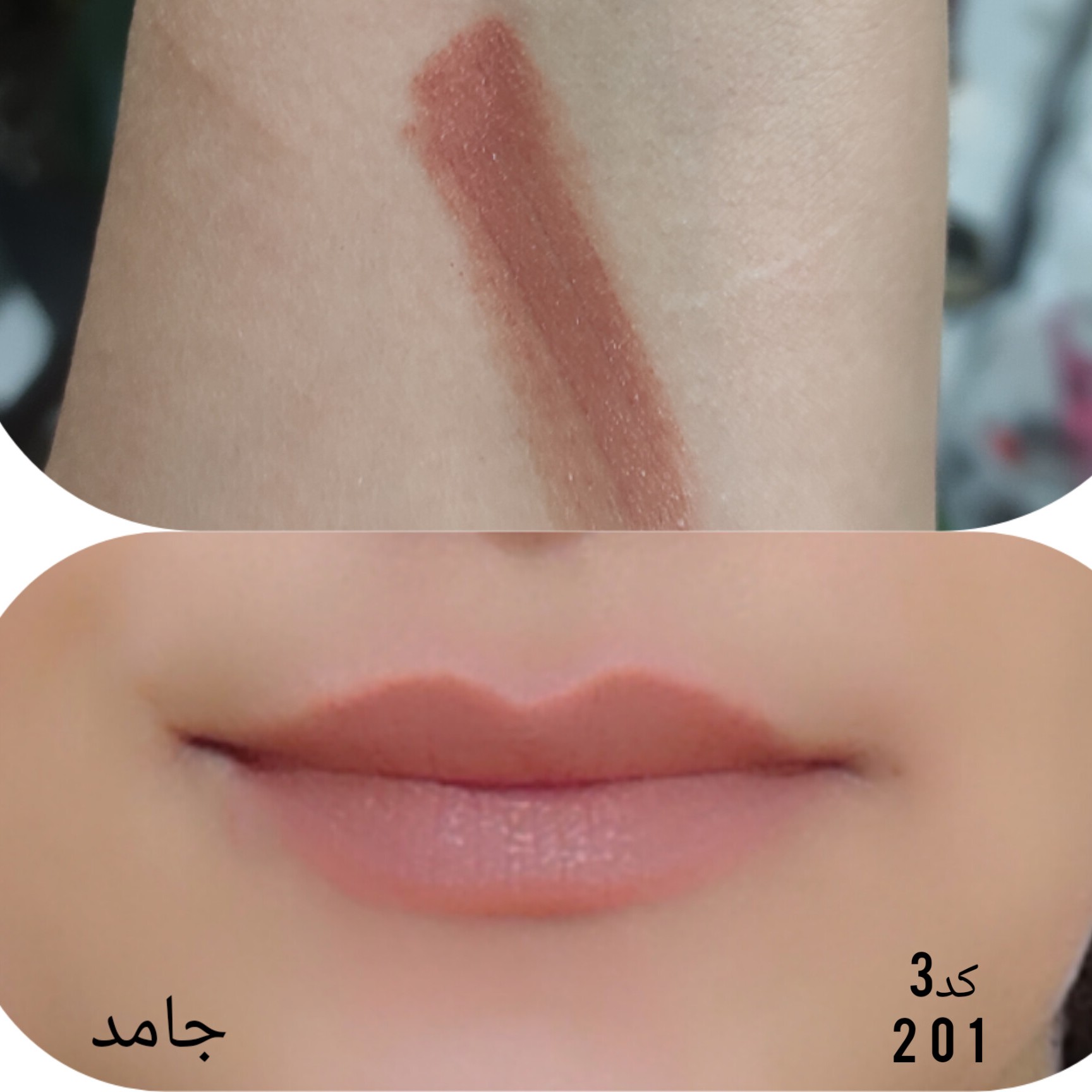 رژلب گیاهی و بدون سرب و کاملا گیاهی کد3-201