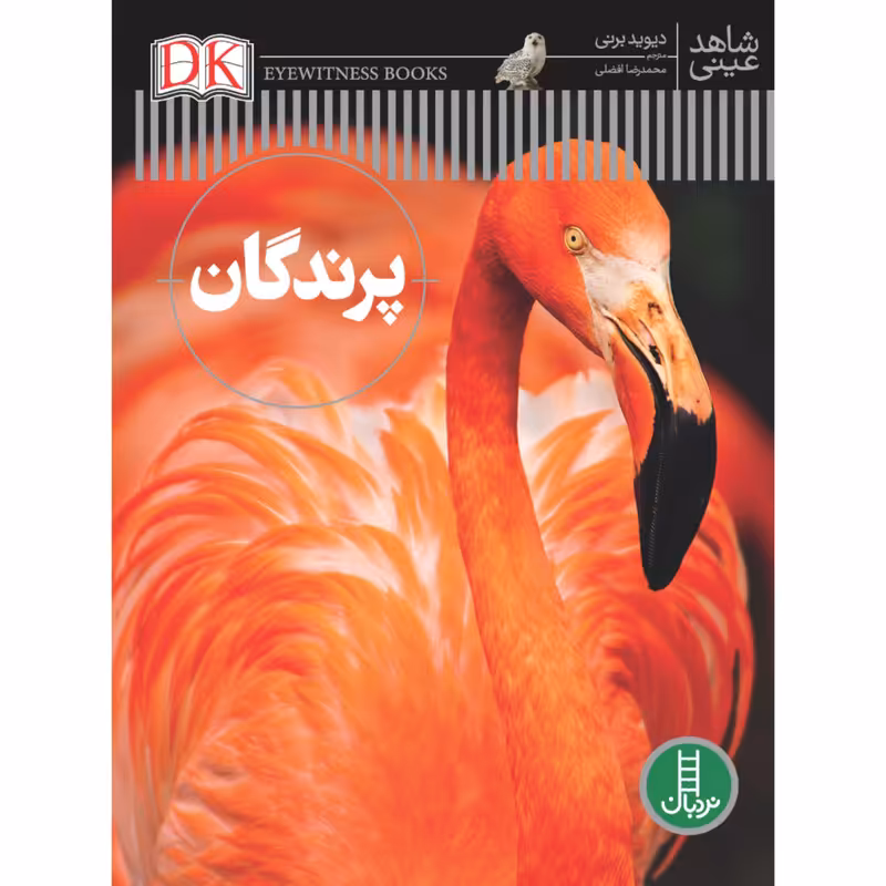 کتاب پرندگان اثر دیوید برنی انتشارات نردبان