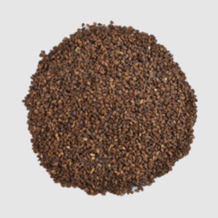 کنجد (100 گرم) عطاری نیکو طبیب