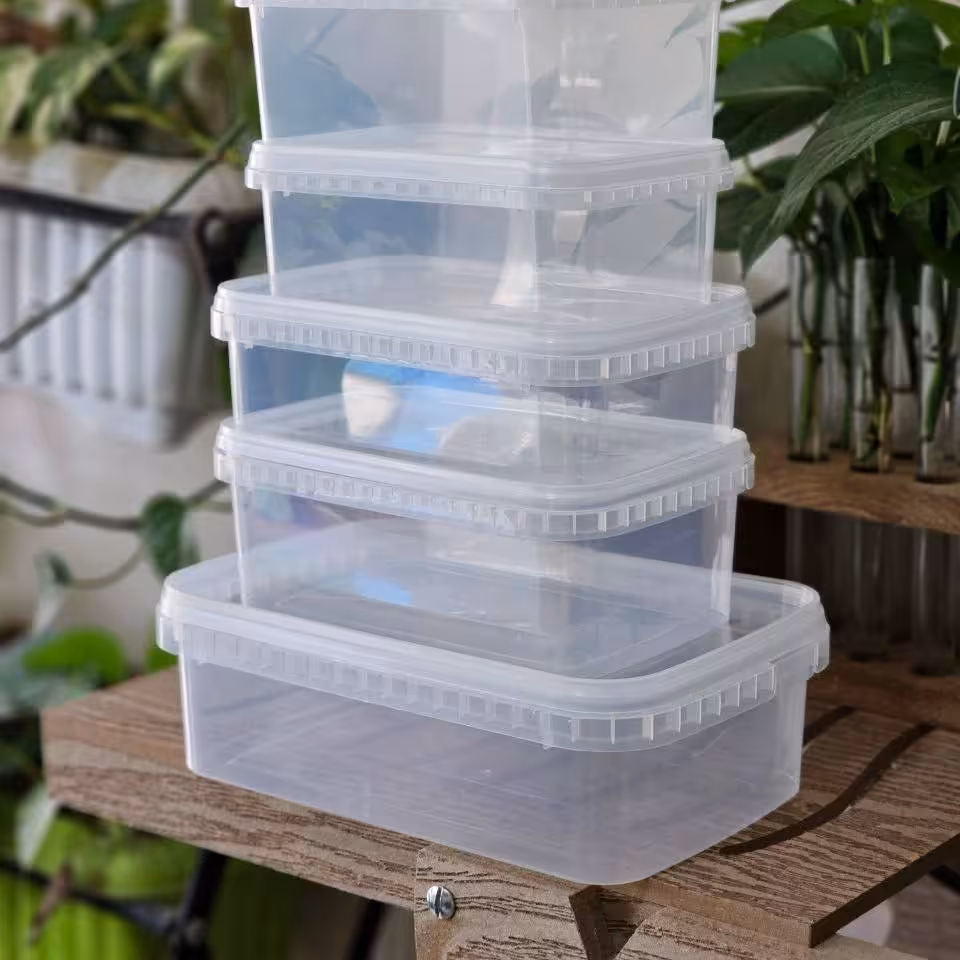 ظروف فریزری پولادی 800cc (پک 6عددی)